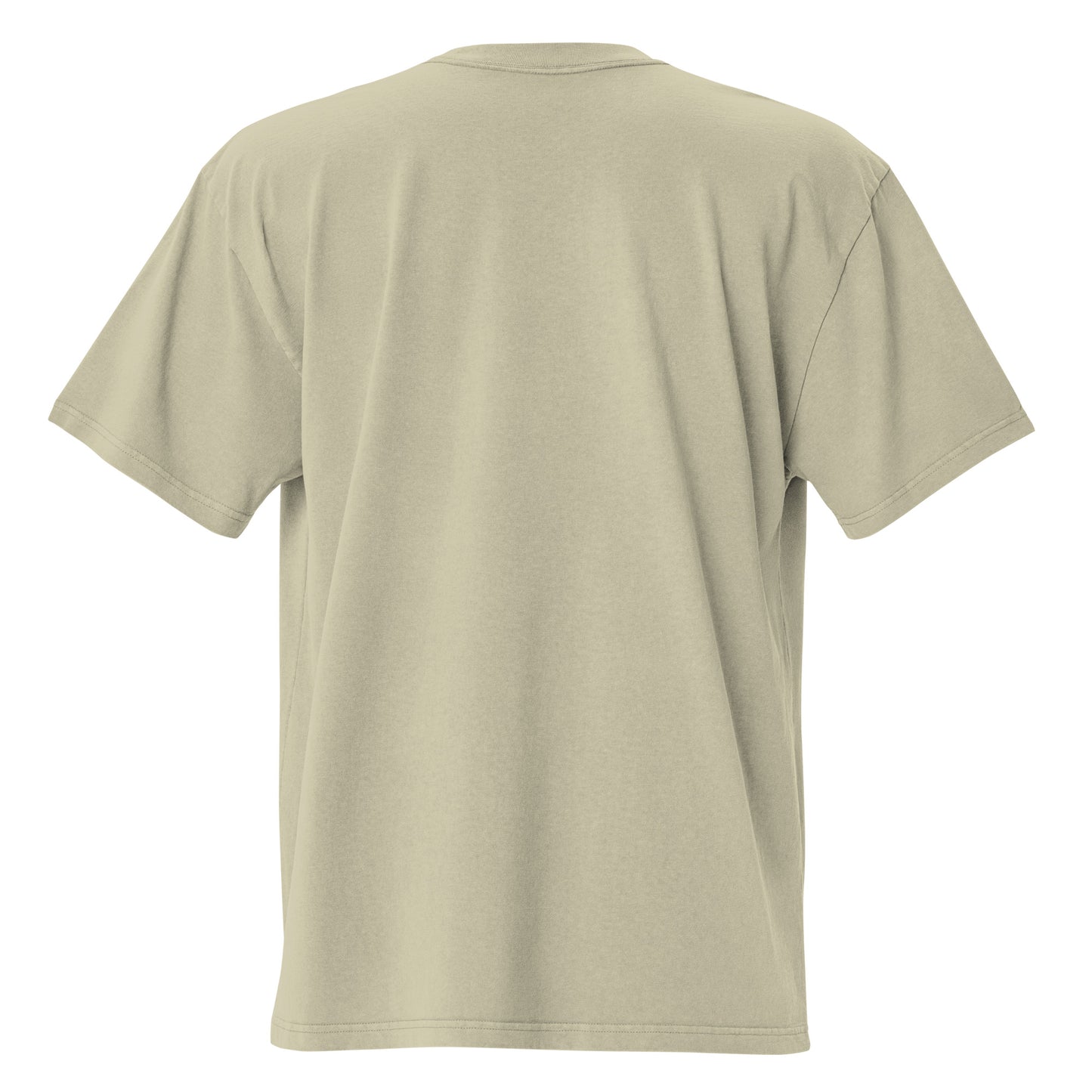 REV/VE ~ Women's Oversized Faded T-shirt